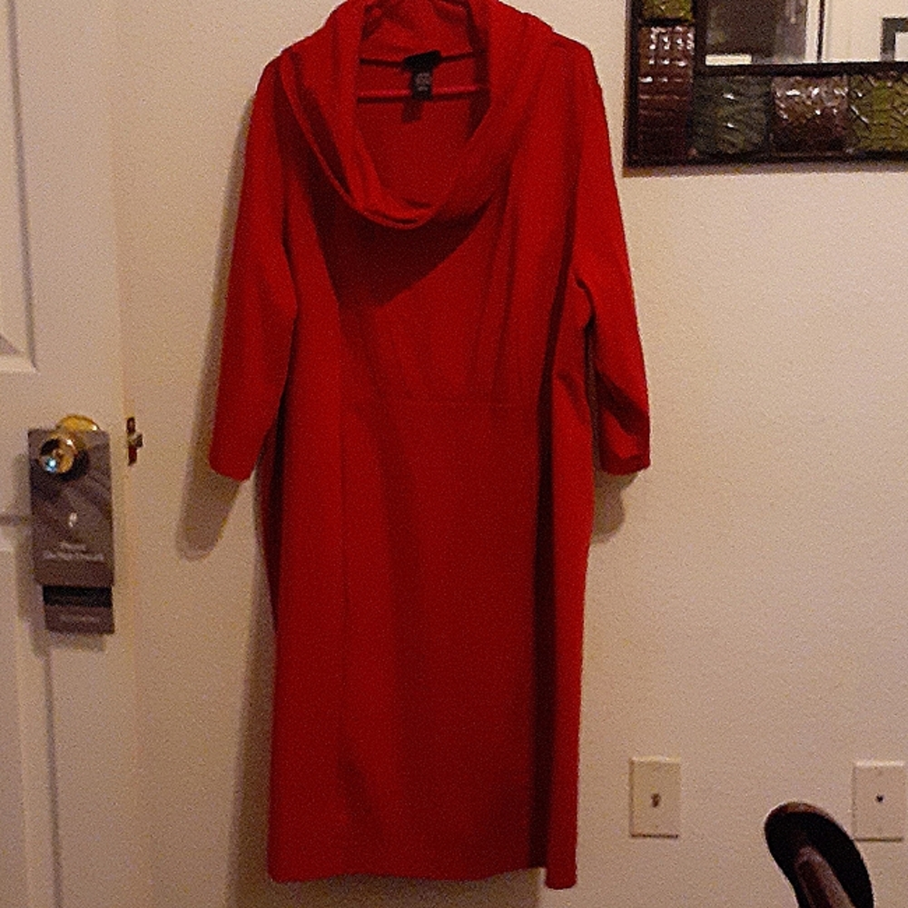Brick Red Dress